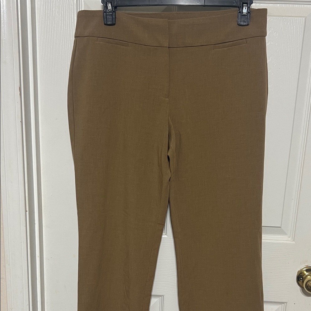 Talbots Tan Straight Leg Women's Pants